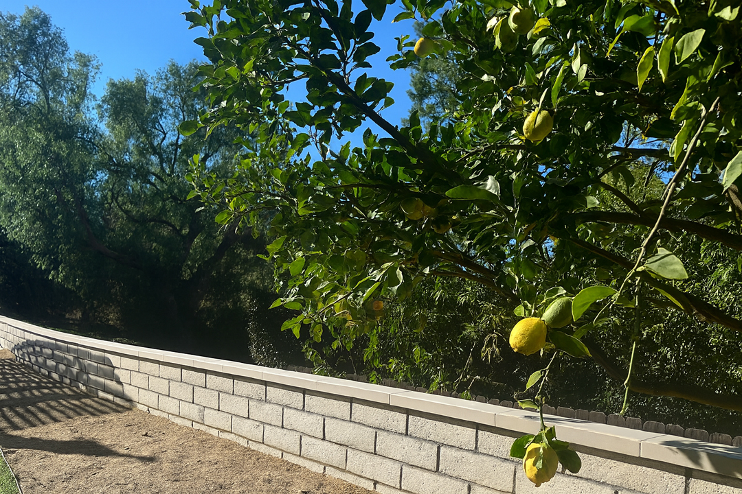 Home remodeling Southern California – wall 02